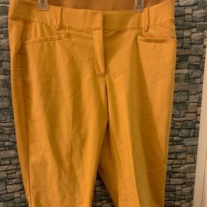 Lane Bryant Mustard Yellow stretch slacks